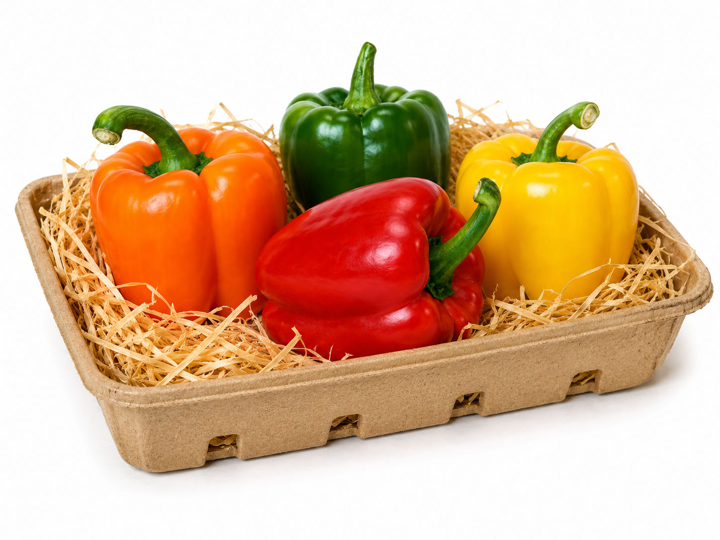 Capsicum