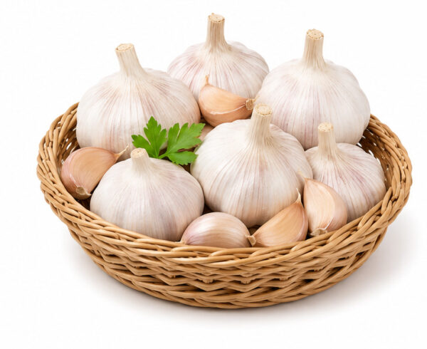 Garlic