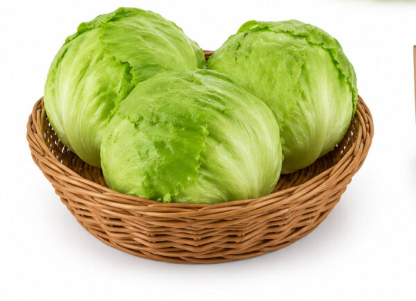 Fresh Lettuce