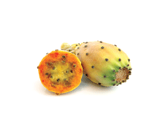 Frozen Cactus Figs