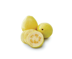 Frozen Guavas