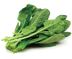 Chopped Spinach